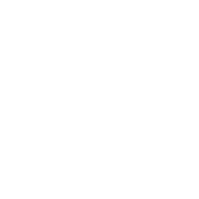 FlyWithScout